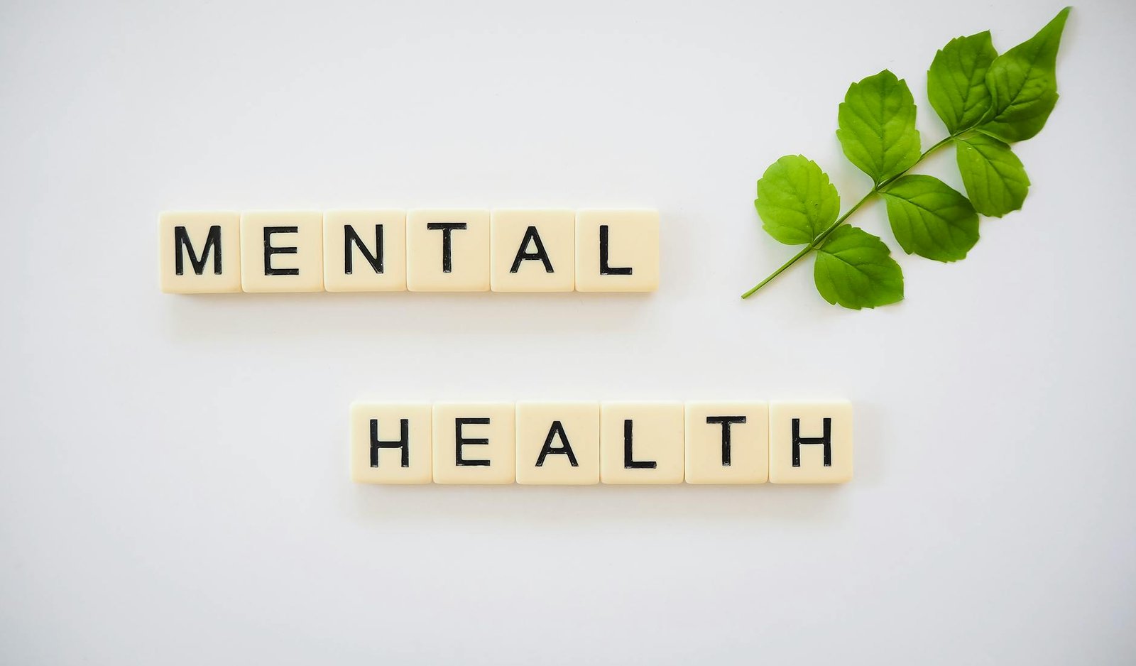 Saúde Mental no Dia a Dia: Dicas Práticas Essenciais para o Seu Bem-Estar — como cuidar da saúde mental no dia a dia dicas pr