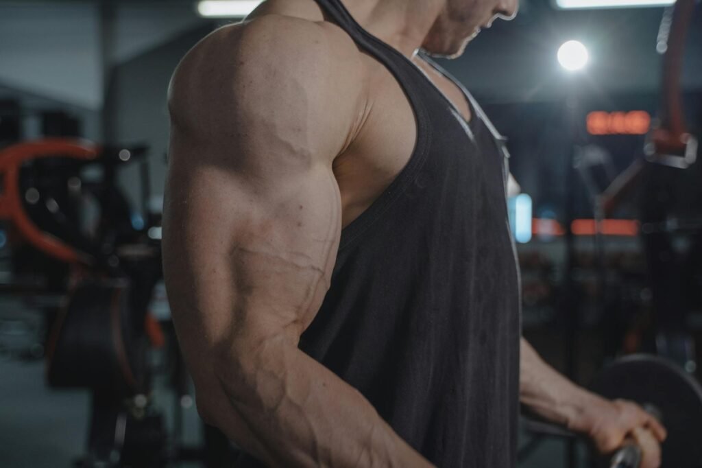 Suplementos para Ganhar Massa Muscular: Os Que Realmente Funcionam (Guia Completo e Comprovado) — suplementos que realmente f